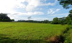 Gilstead Road (D11), Detached #458660211